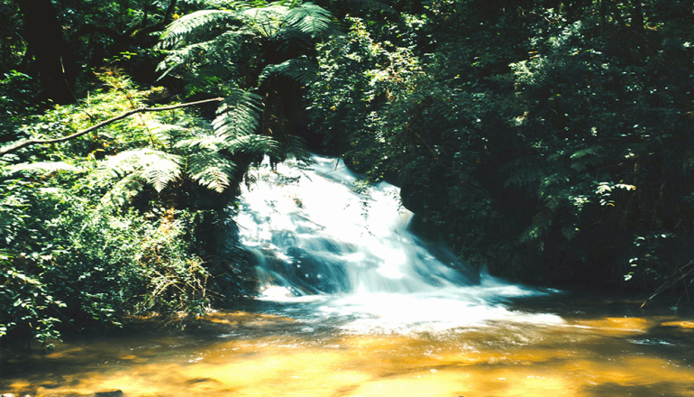 Pich Chenda Waterfall Battambang