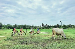 Bicycle Adventure Stories